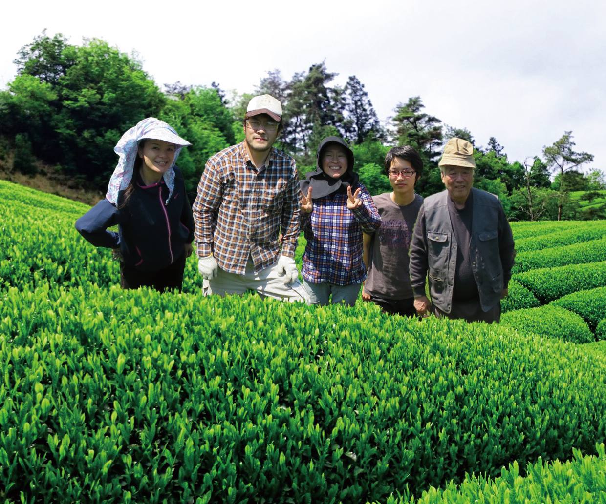 Teefarm Azuma / Azuma Tea Farm