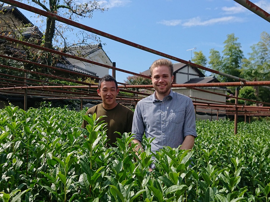 Teefarm Yamashita - Yamashita Tea Farm
