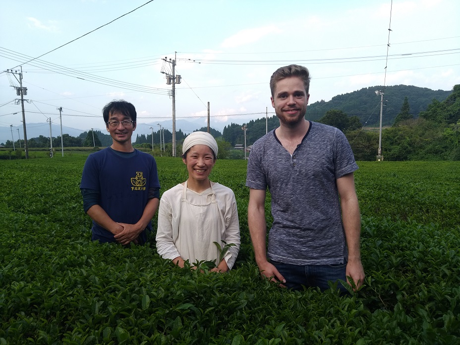 Teefarm Miyazaki - Miyazaki Tea Farm