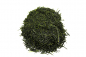 Preview: Shincha 2024 Tsujimoto Sencha "Yabukita"