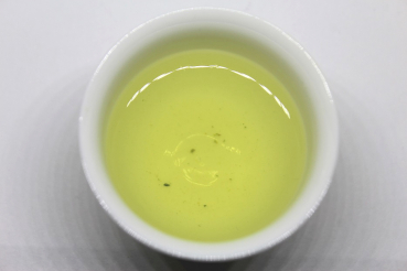 Shincha 2024 Tsujimoto Sencha "Yabukita"